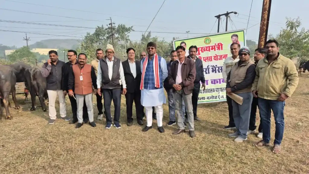 युवाओं को आत्मनिर्भर बनने मुख्यमंत्री डेयरी प्लस योजना के अंतर्गत दमोह में 18 मुर्रा भैंसों का हुआ वितरण