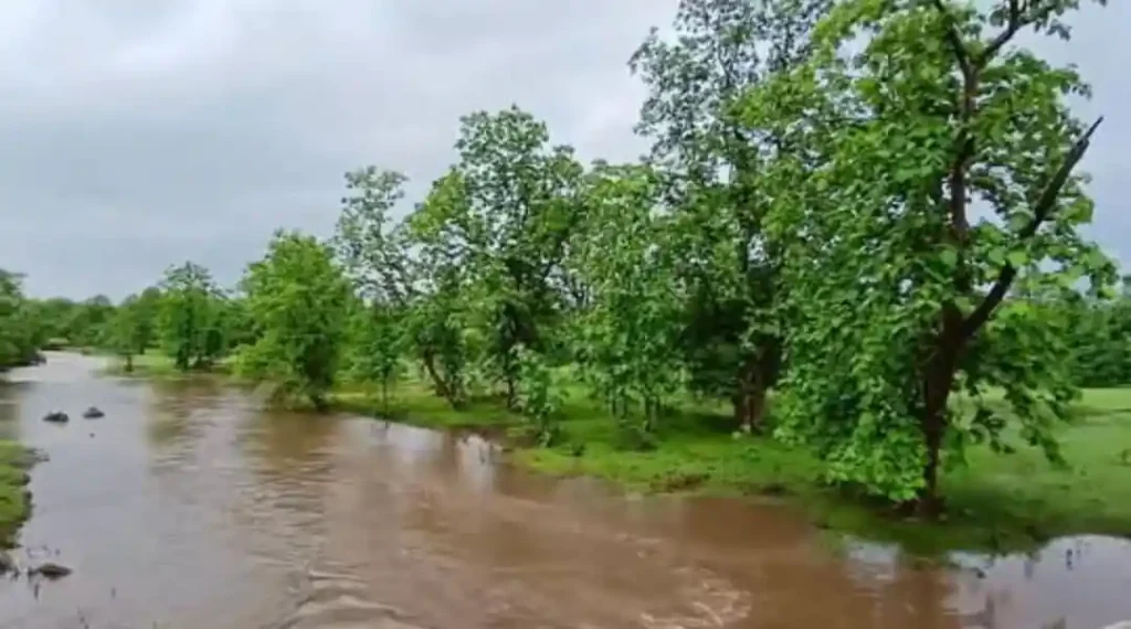वीरांगना दुर्गावती टाइगर रिजर्व में अब केवल ई-वाहन से होगी सफारी, छह माह में लागू होगी नई व्यवस्था