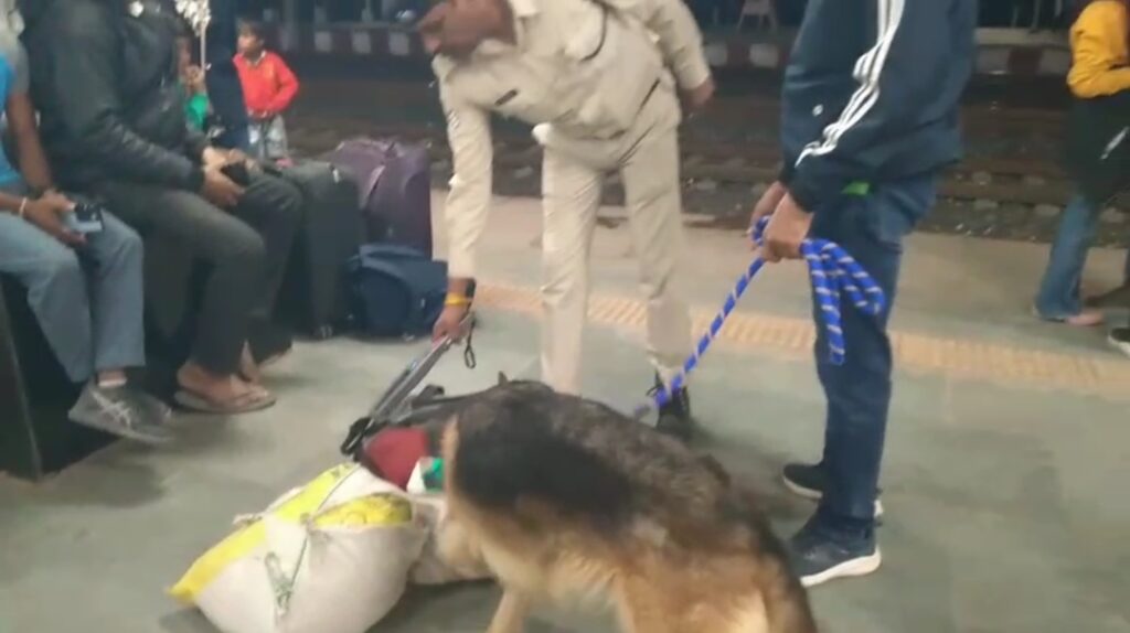 दिल्ली ब्लास्ट के बाद दमोह में पुलिस अलर्ट - डॉग स्क्वायड व मेटल डिटेक्टर से जांच दिल्ली ब्लास्ट के बाद दमोह में पुलिस अलर्ट - डॉग स्क्वायड व मेटल डिटेक्टर से जांच