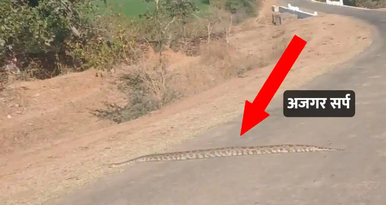 मध्य प्रदेश