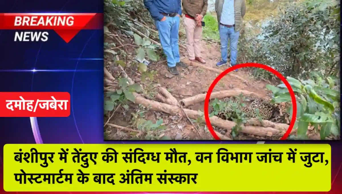 मध्य प्रदेश