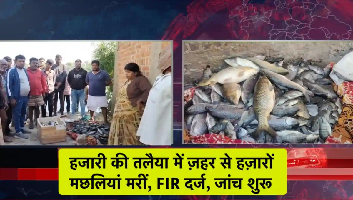 मध्य प्रदेश