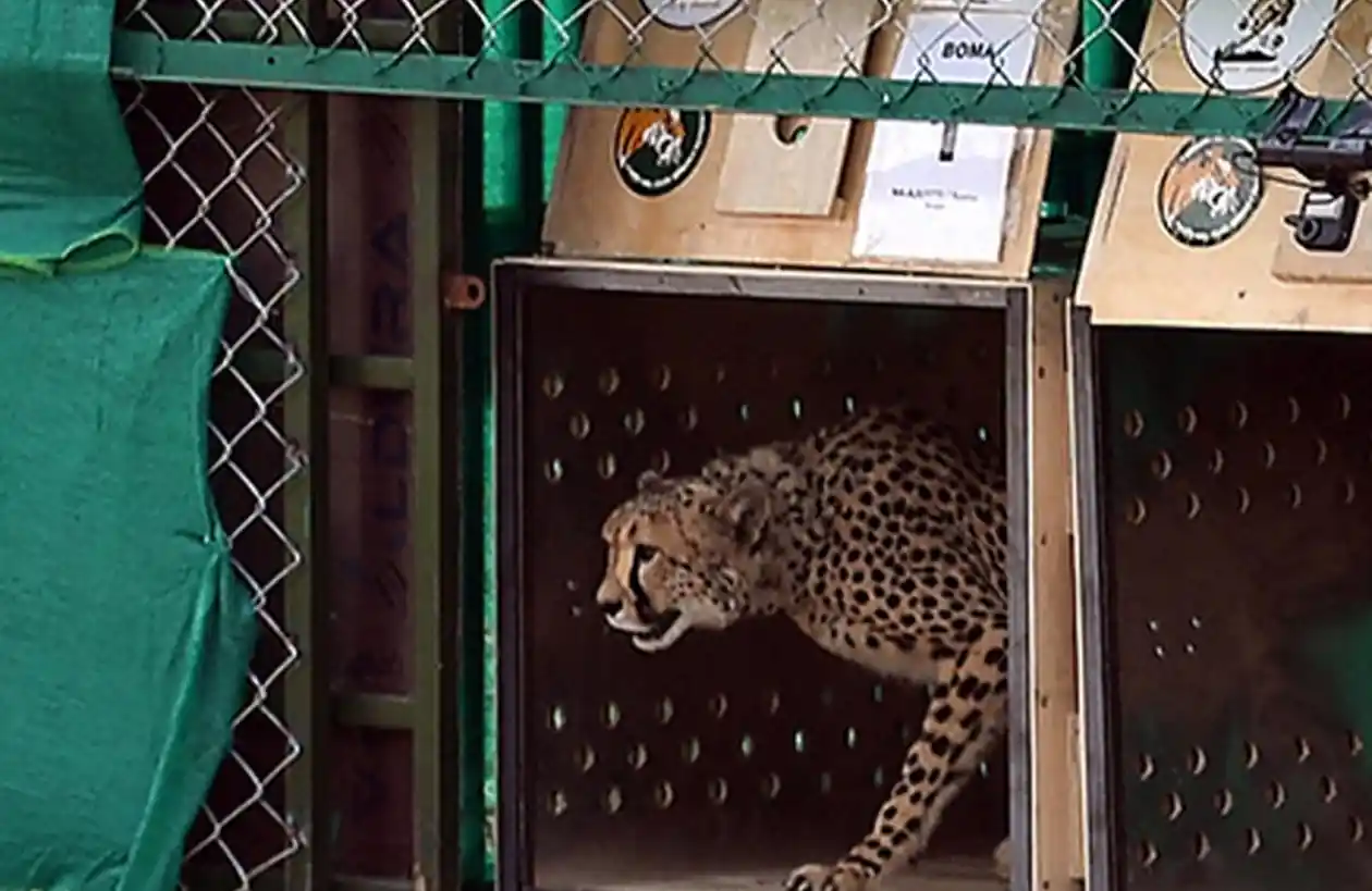 मध्य प्रदेश