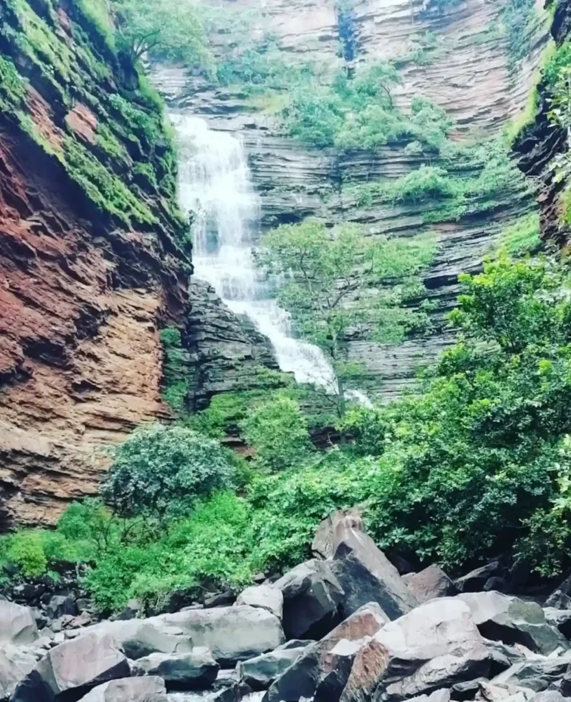 नववर्ष पर दमोह के पर्यटन स्थल आकर्षण का केंद्र, सुरक्षा और वन्यजीव संरक्षण को लेकर कलेक्टर की गाइडलाइन जारी