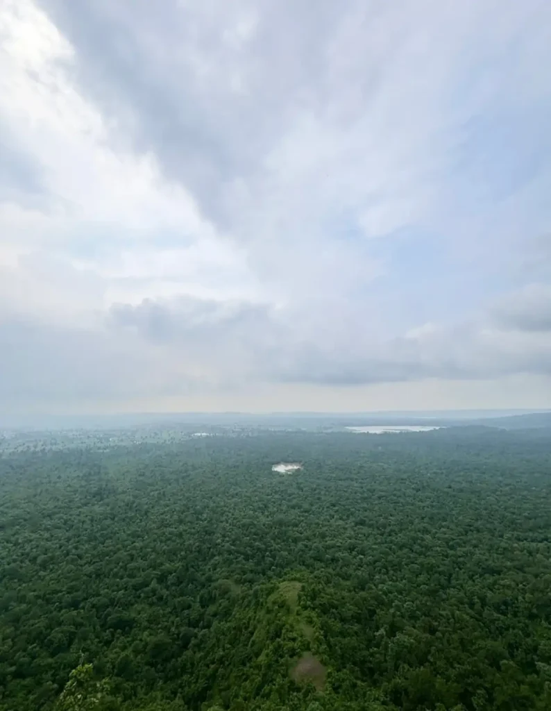 नववर्ष पर दमोह के पर्यटन स्थल आकर्षण का केंद्र, सुरक्षा और वन्यजीव संरक्षण को लेकर कलेक्टर की गाइडलाइन जारी