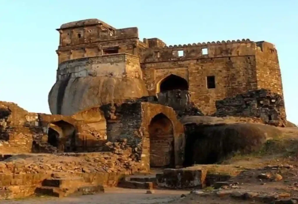 नववर्ष पर दमोह के पर्यटन स्थल आकर्षण का केंद्र, सुरक्षा और वन्यजीव संरक्षण को लेकर कलेक्टर की गाइडलाइन जारी