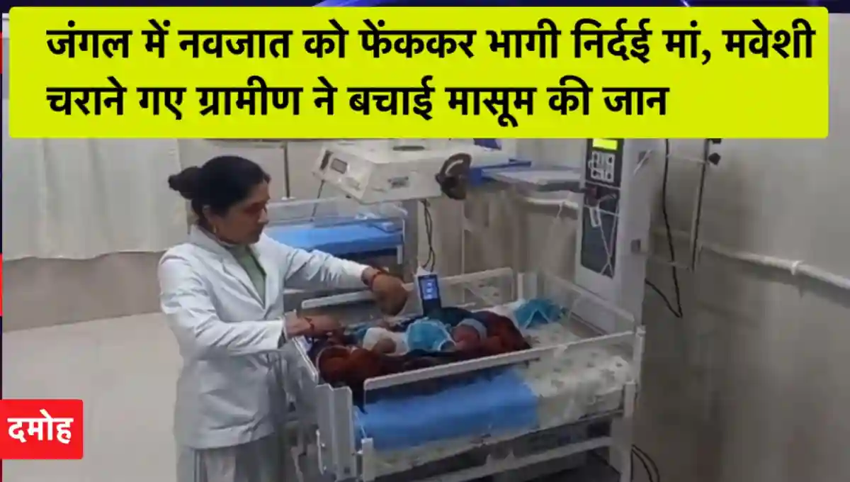 मध्य प्रदेश