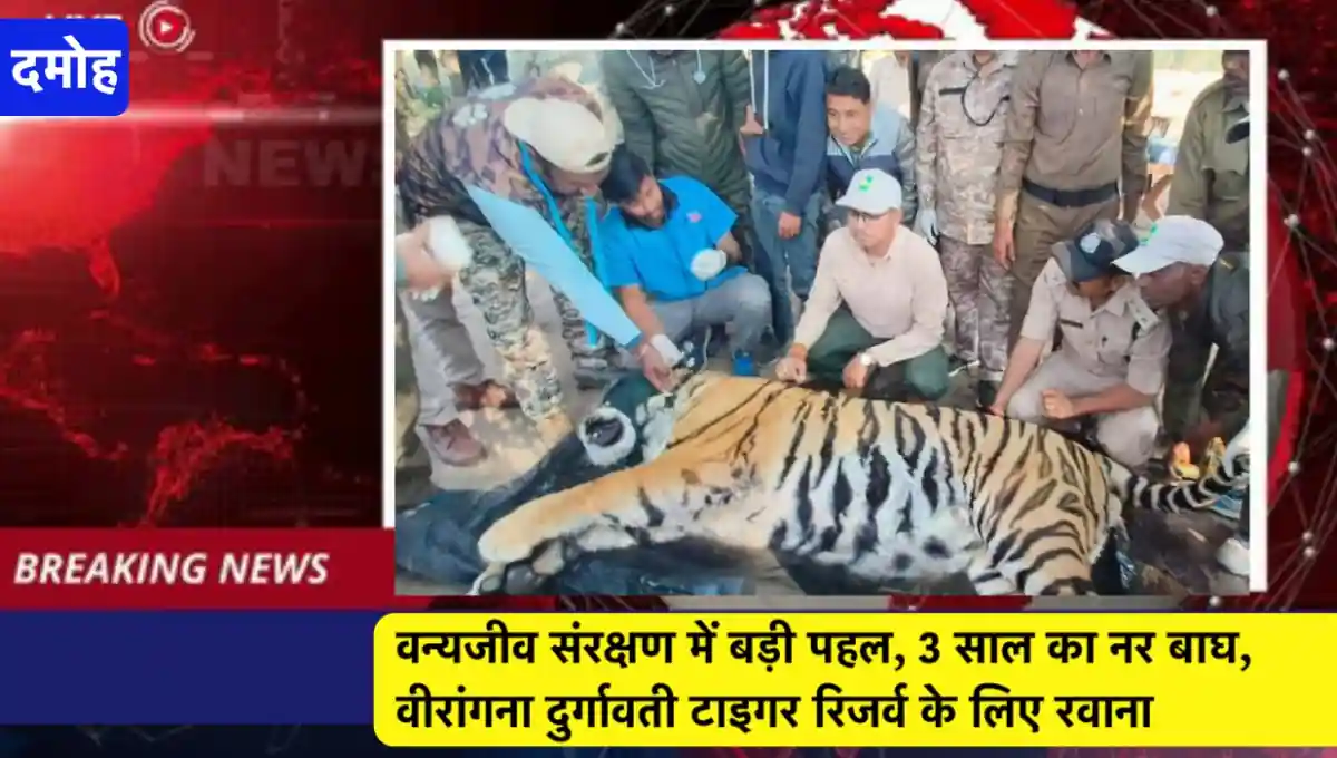 मध्य प्रदेश