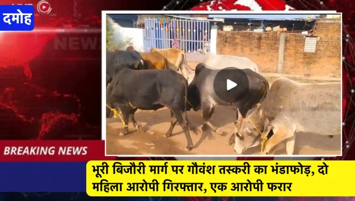 मध्य प्रदेश