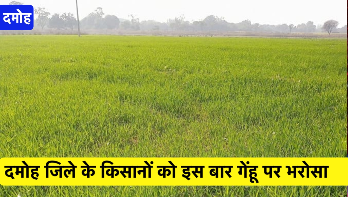 मध्य प्रदेश