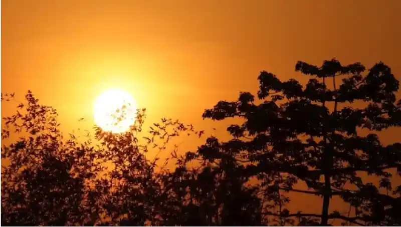 मध्य प्रदेश