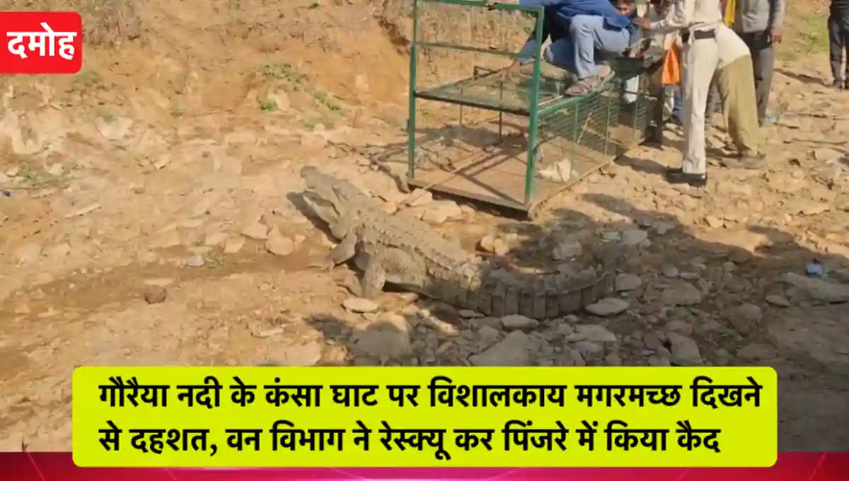 मध्य प्रदेश